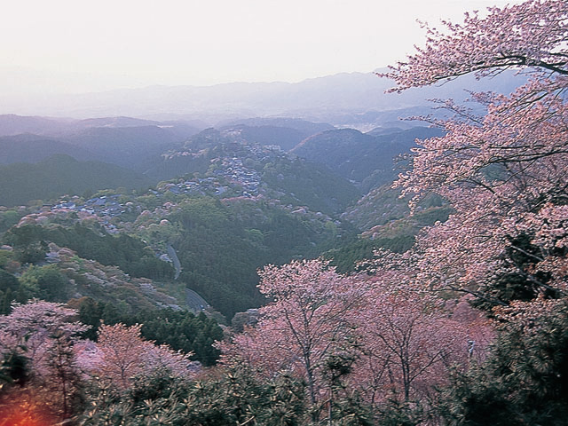 吉野山