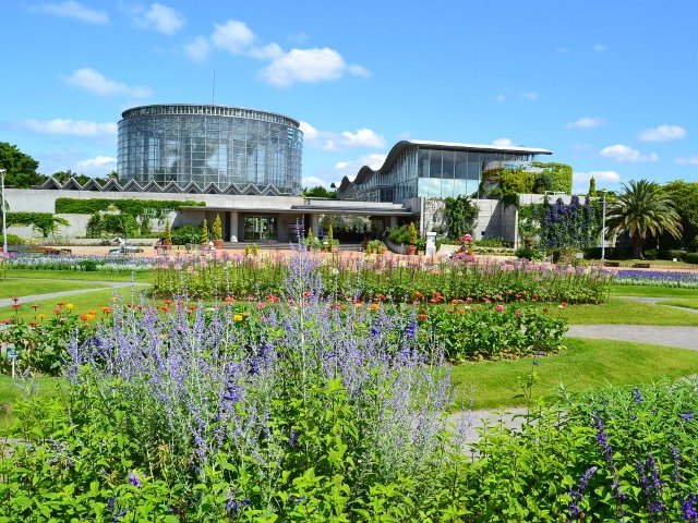 千葉市花の美術館