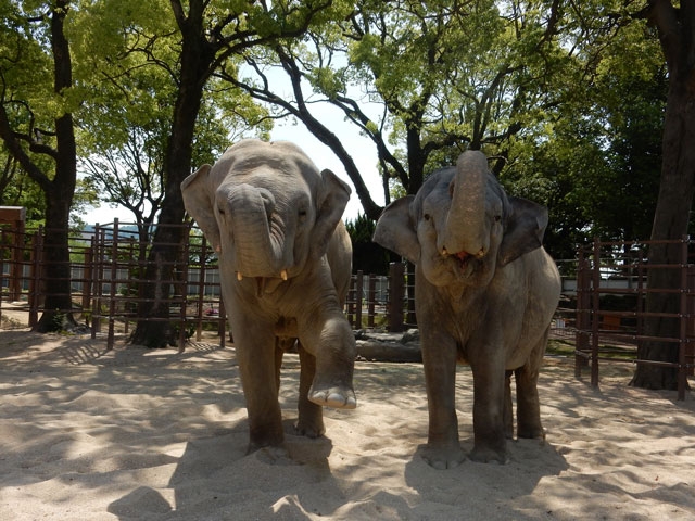 周南・下松・光の周南市徳山動物園