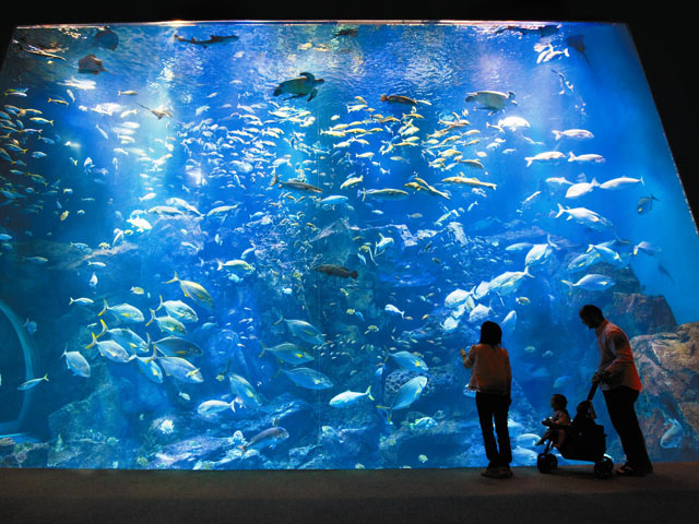 男鹿水族館GAO