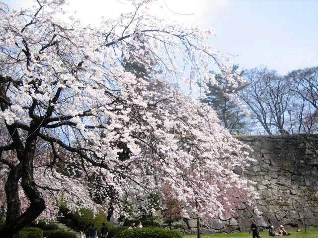 盛岡城跡公園