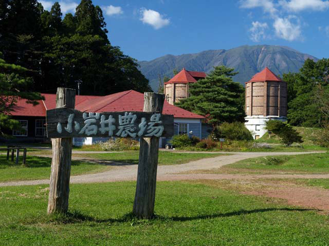 小岩井農場