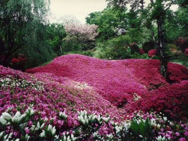 群馬フラワーハイランド