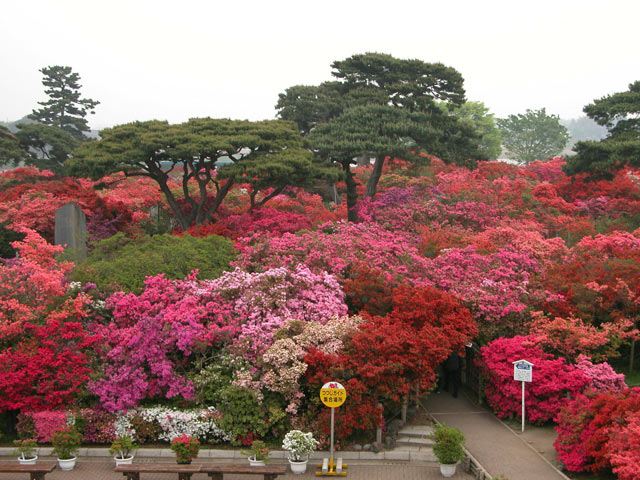 つつじが岡公園