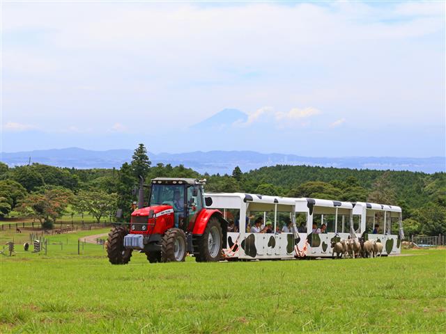 マザー牧場