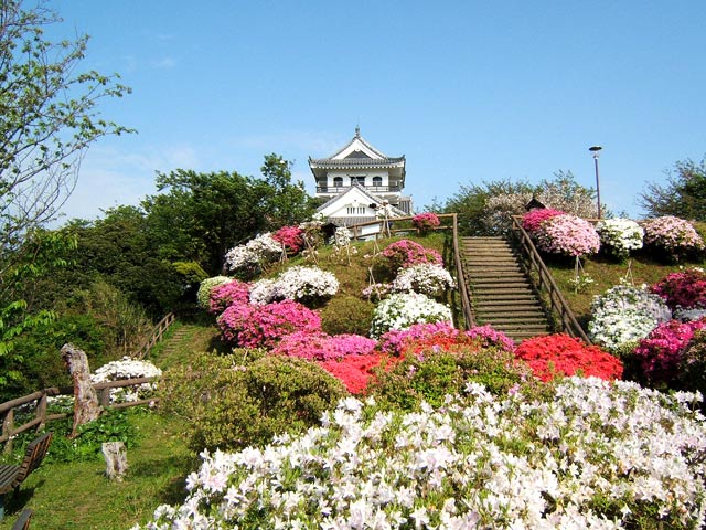 千葉県の城山公園
