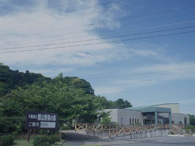 千葉県立館山野鳥の森