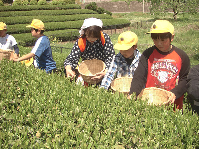 奥久慈茶の里公園