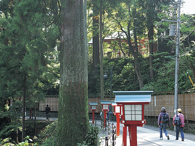 高尾山