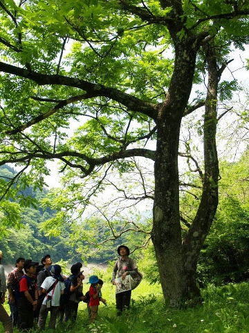 東京都立奥多摩湖畔公園 山のふるさと村