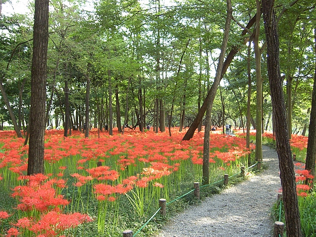 飯能・八高線沿線