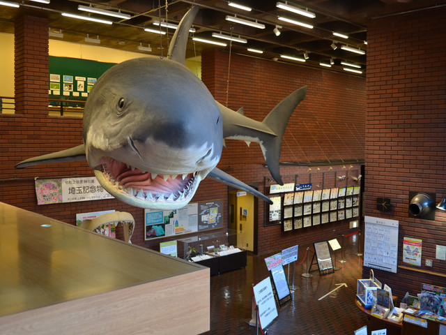 埼玉県立自然の博物館