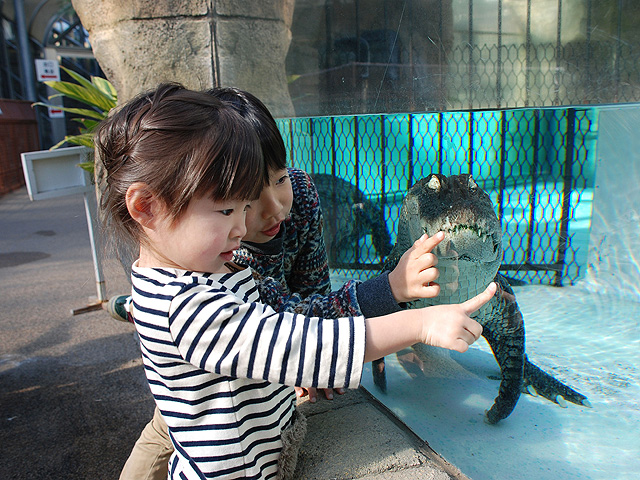 熱川バナナワニ園