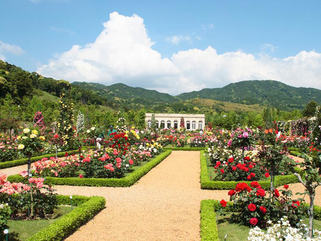 静岡県の河津バガテル公園