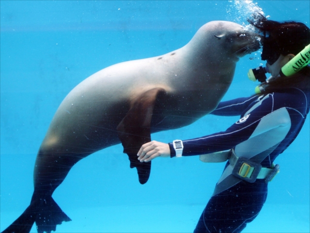 下田海中水族館