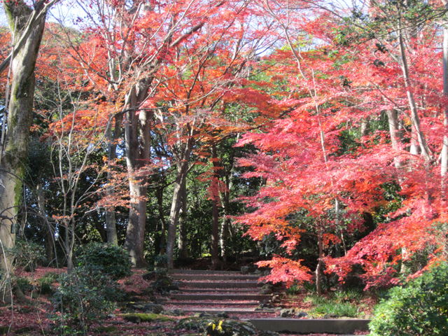 三島市立公園楽寿園