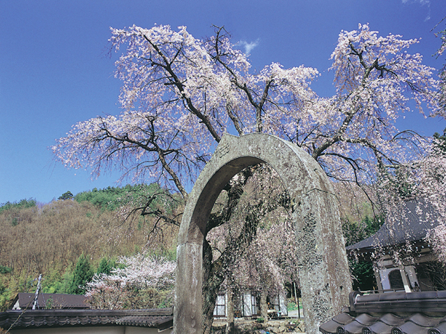 長谷寺