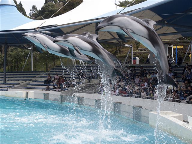 のとじま水族館