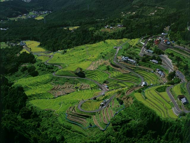 丸山千枚田