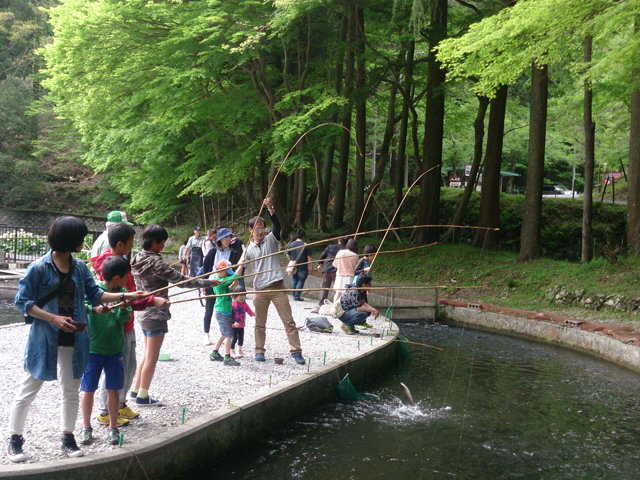 滋賀県醒井養鱒場