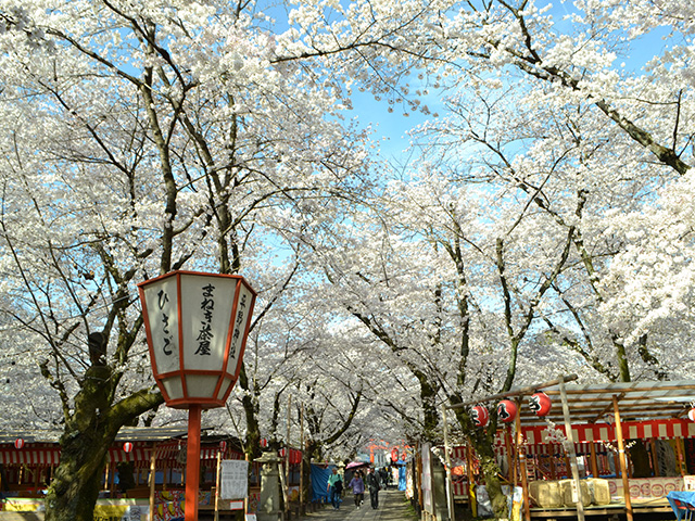 平野神社