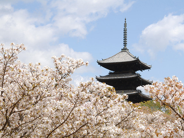 仁和寺