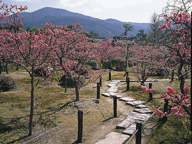 随心院