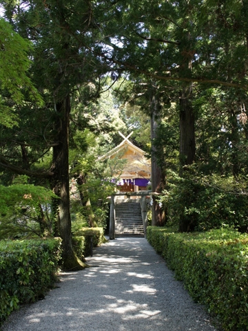 高鴨神社