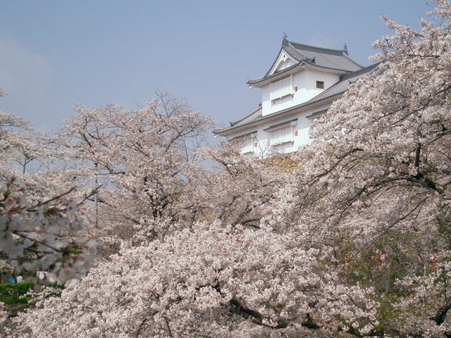 津山城