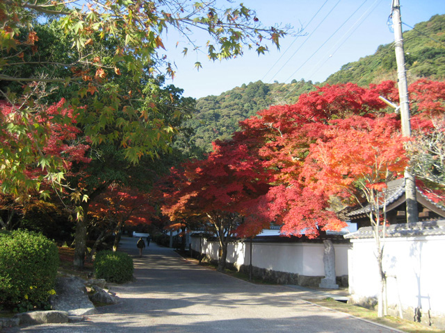 紅葉谷公園