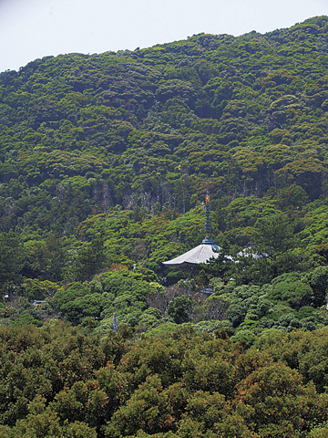 金剛福寺