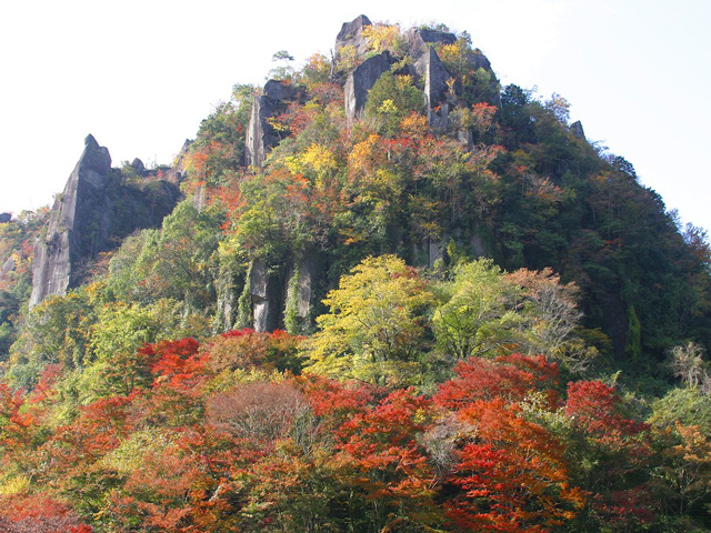 一目八景