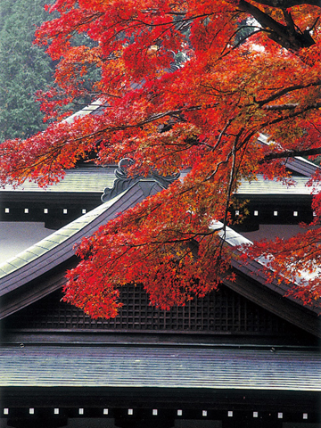 両子寺