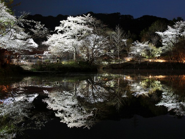 嬉野・武雄