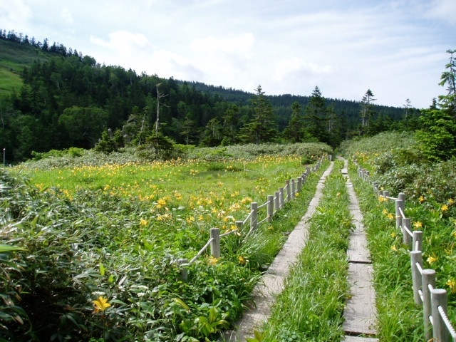 黒谷地湿原