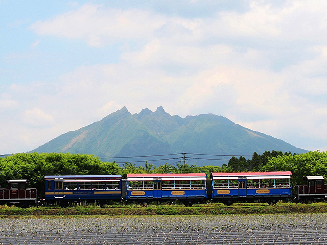 トロッコ列車「ゆうすげ号」