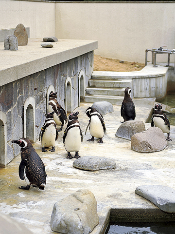 姫路市立動物園