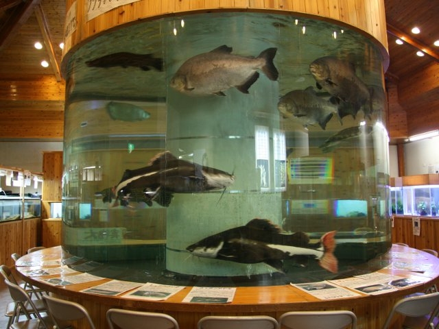 小林市出の山淡水魚水族館