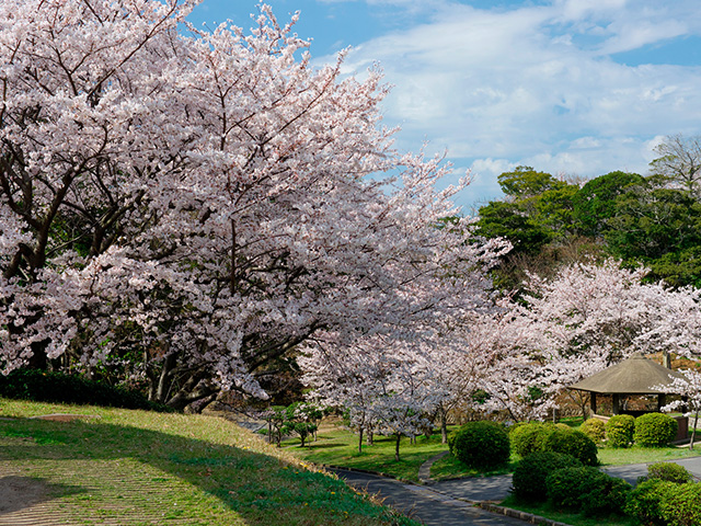 ときわ公園