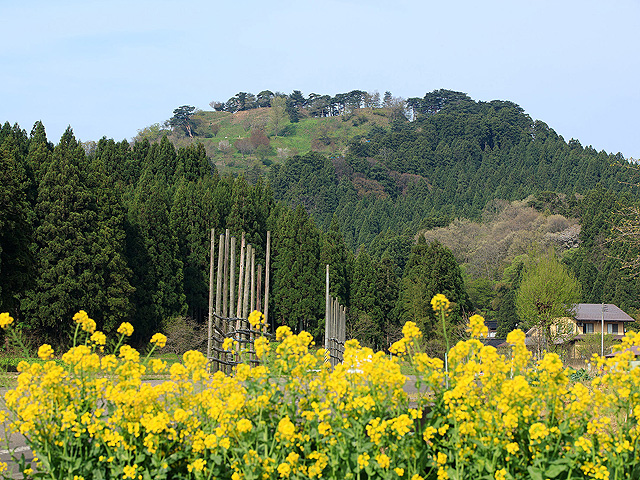 春日山城跡