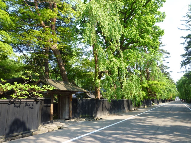 角館武家屋敷通り