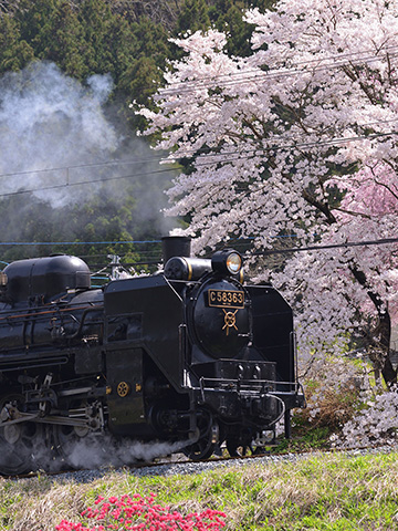 秩父鉄道・SLパレオエクスプレス