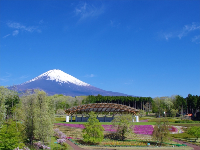 富士山樹空の森