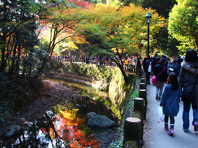 明治の森箕面国定公園