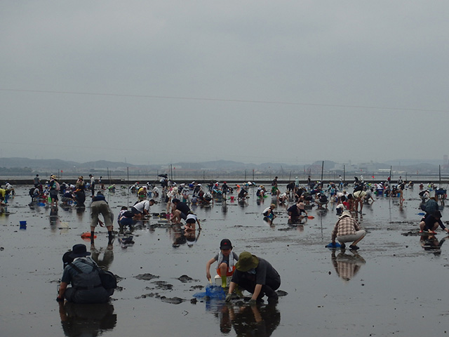 江川海岸潮干狩場