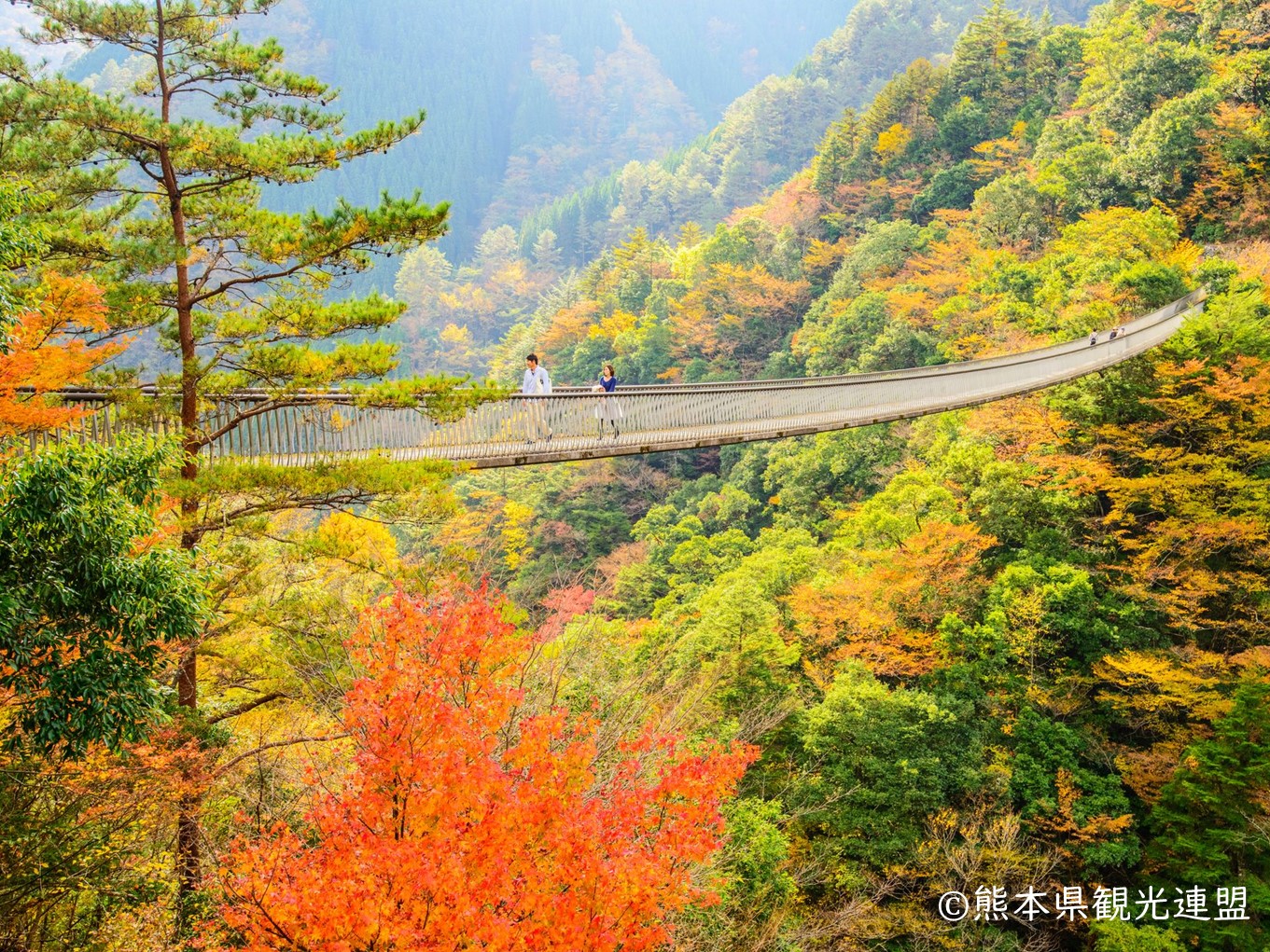 イメージ：梅の木轟橋