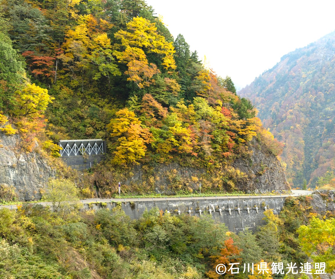 イメージ：白山白川郷ホワイトロード