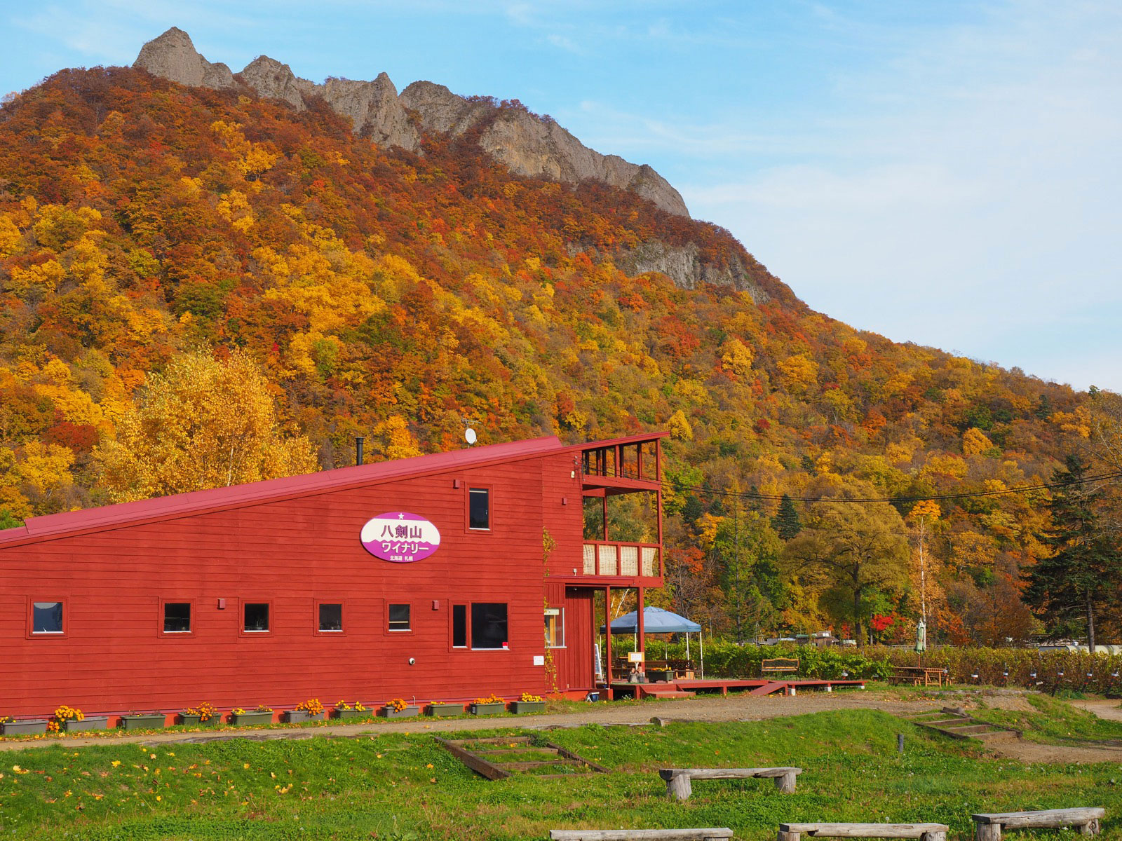 紅葉が映えている八剣山ワイナリー