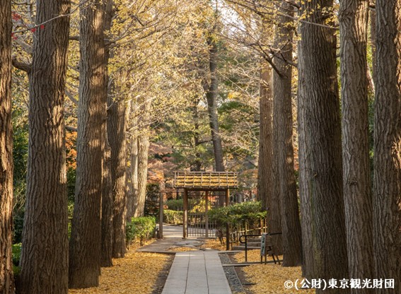 イメージ：大田黒公園