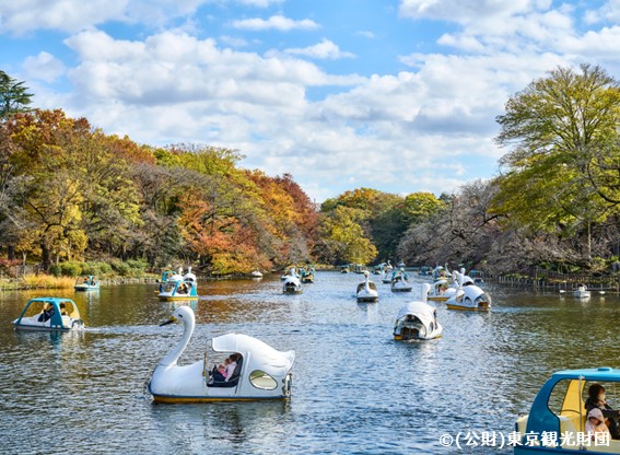 イメージ：井の頭公園